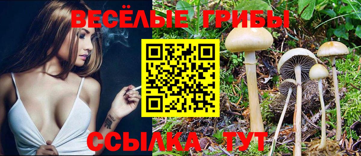 цена наркотик  Назрань  Галлюциногенные грибы Cubensis 
