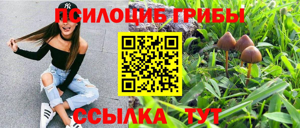 Псилоцибиновые грибы MAGIC MUSHROOMS Назрань